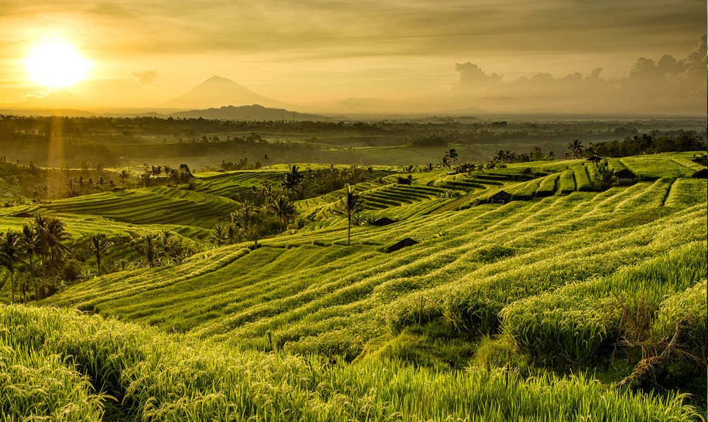 Wonderful Bali travel