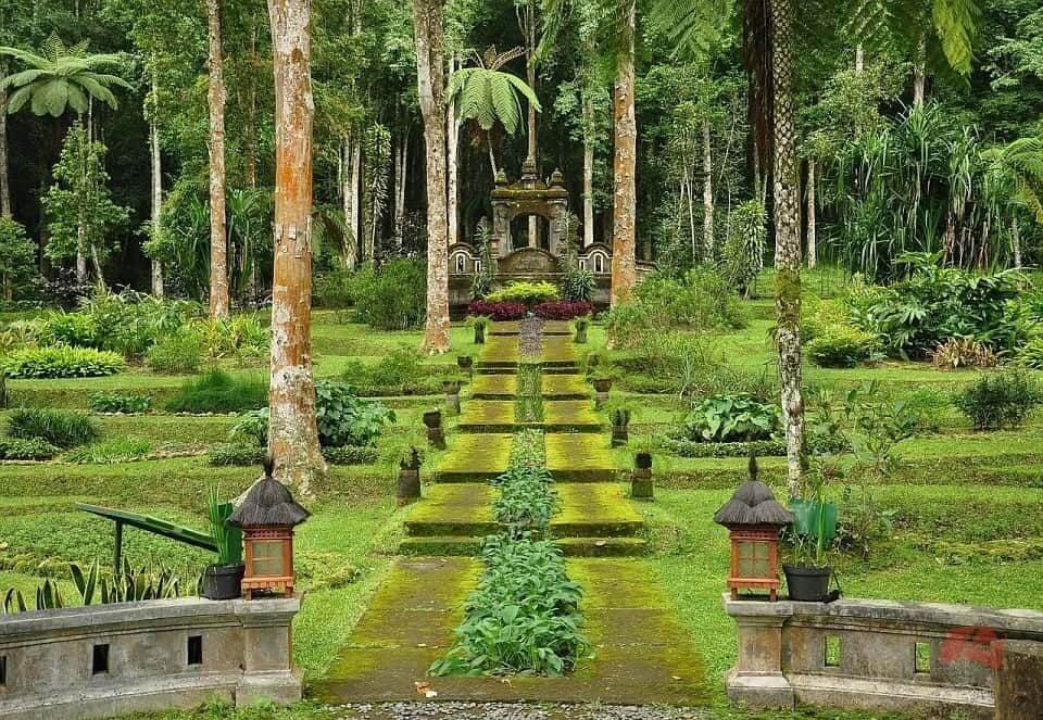 Bali-Botanic-Garden