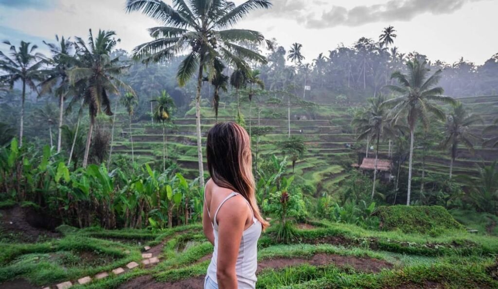 tegalalang rice terrace